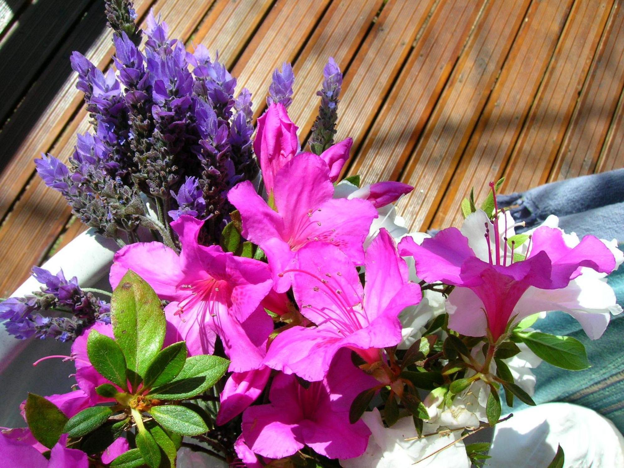 Dempsey'S Self-Catering Guest House Port Elizabeth Esterno foto