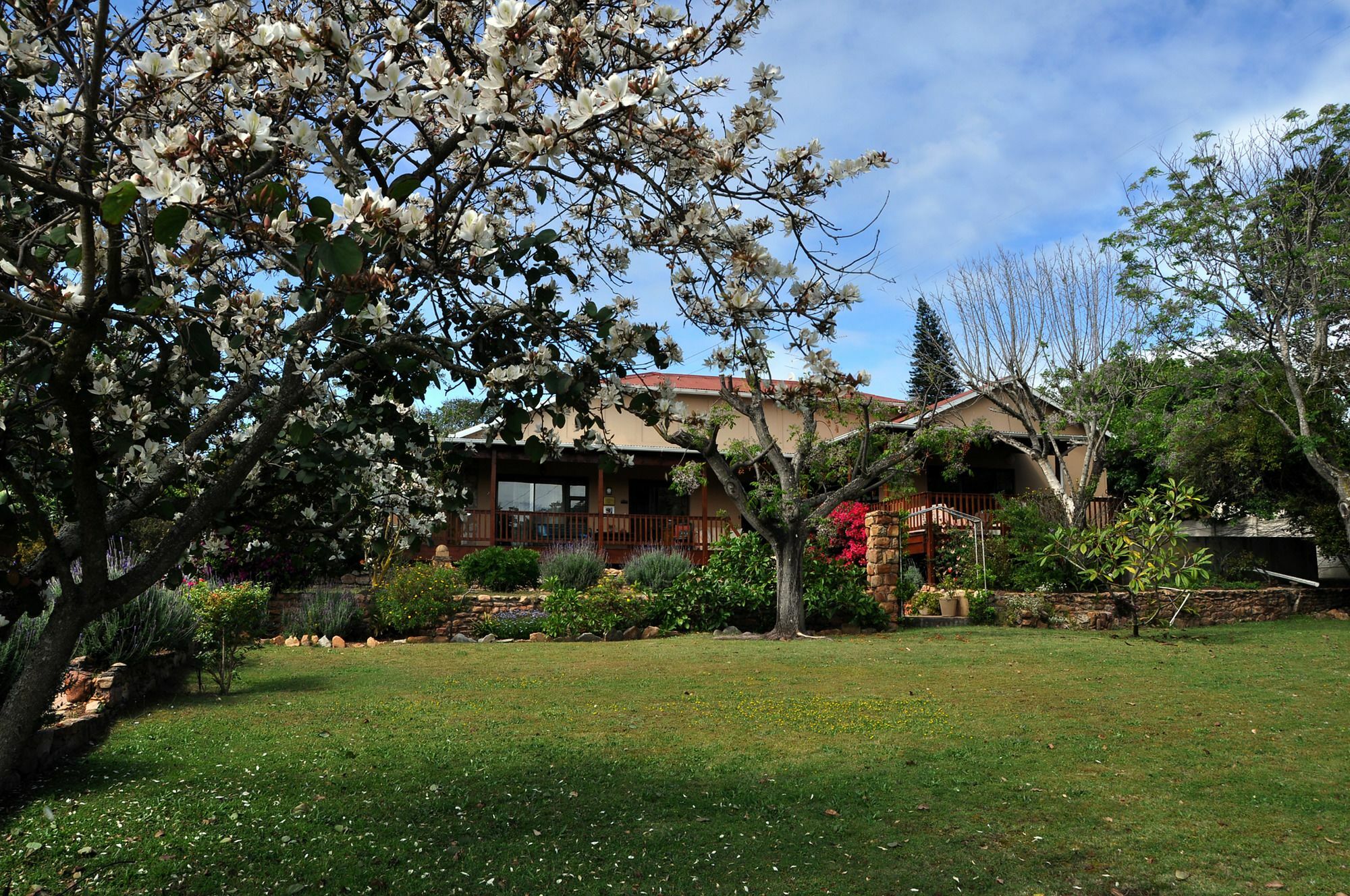 Dempsey'S Self-Catering Guest House Port Elizabeth Esterno foto